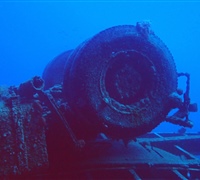 Trucks-2.jpg
