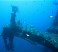 Wreck-1.jpg