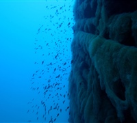 Wreck-2.jpg