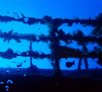 Wreck-6.jpg