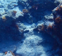 Rock-formation-1.jpg