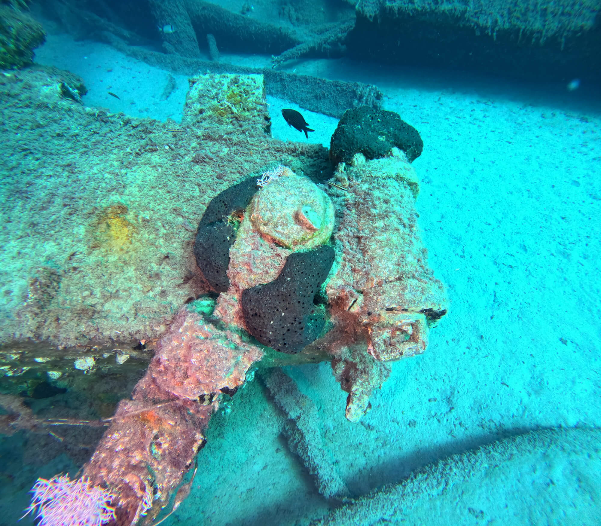 Giannoula K Shipwreck Plimmiri Cove Giannoula K Shipwreck Plimmiri Cove