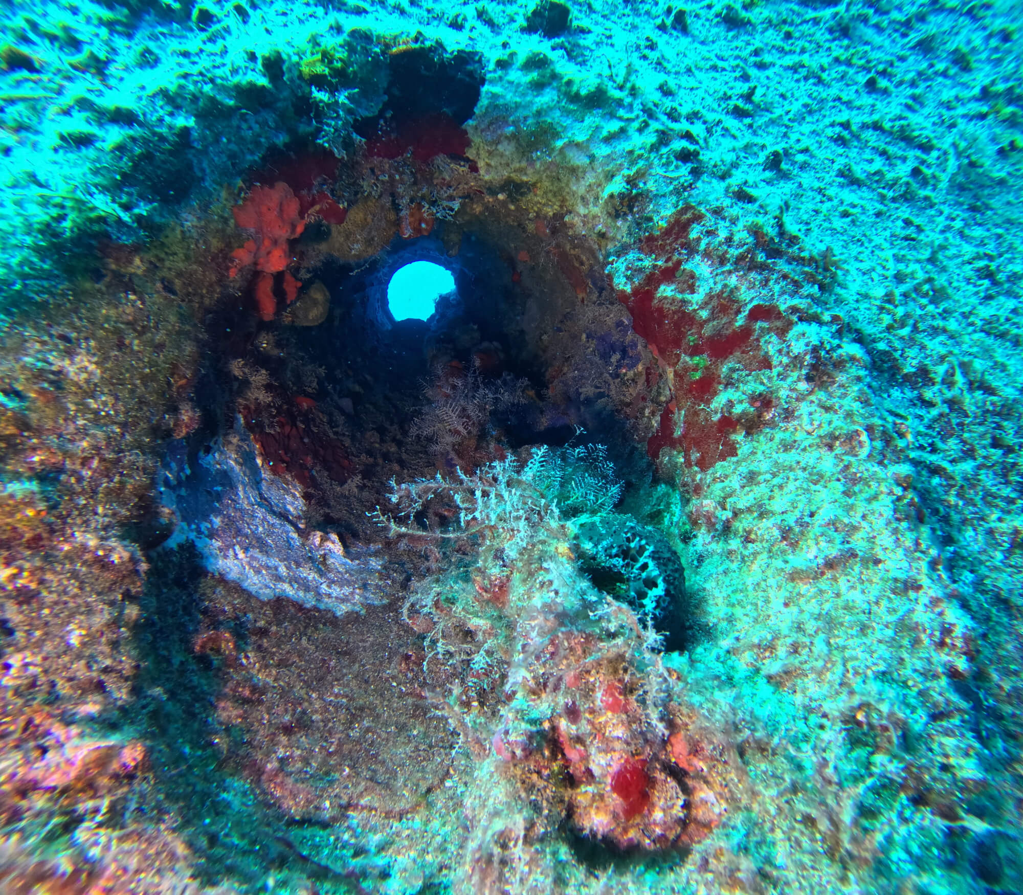 Giannoula K Shipwreck Plimmiri Cove Giannoula K Shipwreck Plimmiri Cove