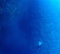 P9210056.jpg