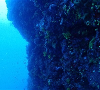 P9210057.jpg