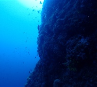 P9210061.jpg