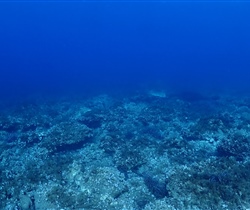 P9270002.jpg