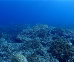 P9270003.jpg