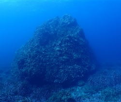 P9270007.jpg
