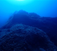 P9240001.jpg