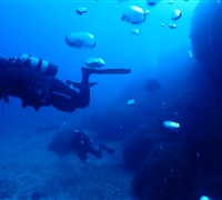 P9240005.jpg