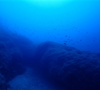P9240007.jpg
