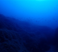 P9240008.jpg
