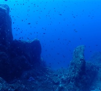 P9240010.jpg