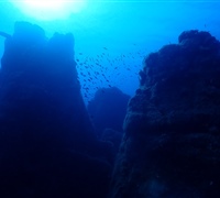 P9240013.jpg
