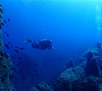 P9240015.jpg