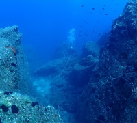 P9240016.jpg