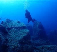 P9240018.jpg