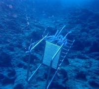 Ladder-.jpg
