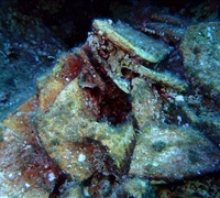 Pottery-1.jpg