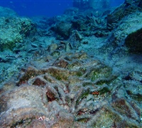 Pottery-2-.jpg
