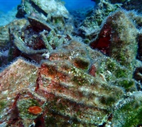 Pottery-3-.jpg