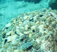 Rock-Formation-2.jpg