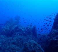 P9240053.jpg