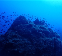 P9240054.jpg