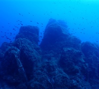 P9240055.jpg