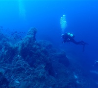 P9240056.jpg
