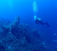 P9240057.jpg