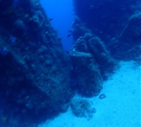 P9240062.jpg