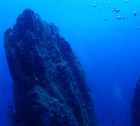 P9240064.jpg