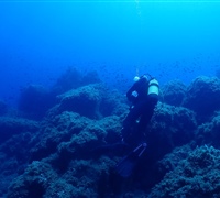 P9240069.jpg
