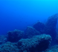 P9240071.jpg