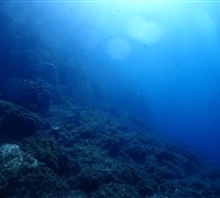 P9220084.jpg