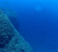 P9220100.jpg