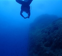 P9220102.jpg