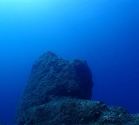 P9210023.jpg