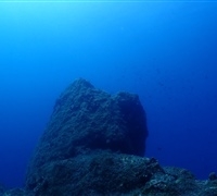 P9210025.jpg