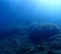 P9210036.jpg
