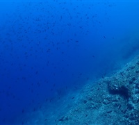 P9230174.jpg