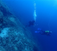P9230175.jpg