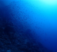 P9230177.jpg