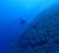 P9230179.jpg
