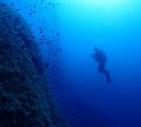 P9230181.jpg