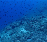 P9230186.jpg