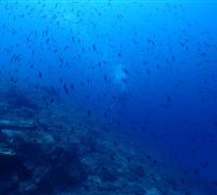 P9230188.jpg