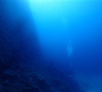 P9230196.jpg